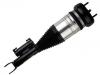 Stoßdämpfer Shock Absorber:205 320 48 68